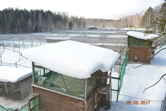 «Скорее всего, продадим это хозяйство». Дмитрий Панов о перспективах бизнеса / ЭКСКЛЮЗИВ 4 «Скорее всего, продадим это хозяйство». Дмитрий Панов о перспективах бизнеса / ЭКСКЛЮЗИВ 4