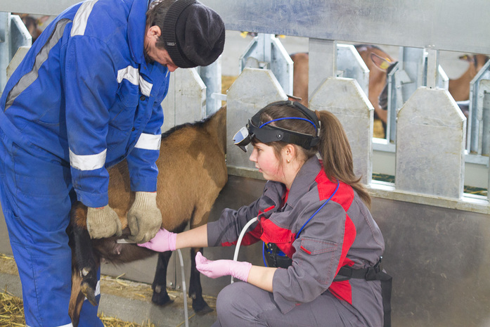 Даже в случае отмены антисанкций эти сыры к нам не доедут — Илья Бондарев 5 Даже в случае отмены антисанкций эти сыры к нам не доедут — Илья Бондарев 5