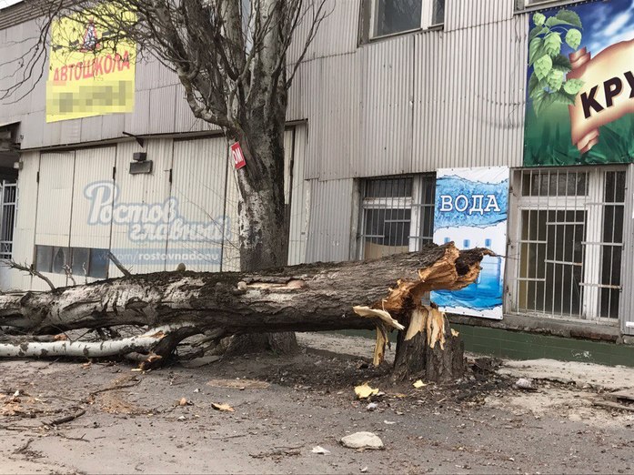 Что наделал ветер в Ростове: о жертвах, битых окнах и деревьях ФОТО 1 Что наделал ветер в Ростове: о жертвах, битых окнах и деревьях ФОТО 1