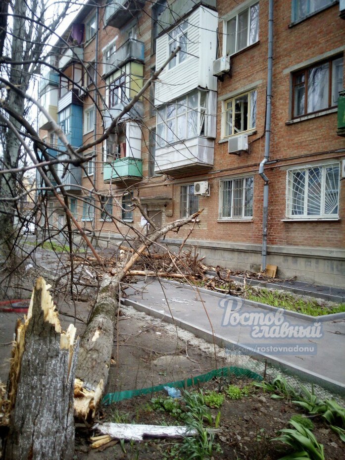 Что наделал ветер в Ростове: о жертвах, битых окнах и деревьях ФОТО 6 Что наделал ветер в Ростове: о жертвах, битых окнах и деревьях ФОТО 6