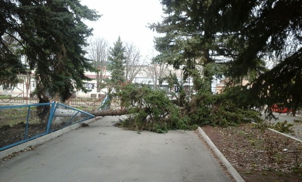 Сильный ветер "уронил" два памятника в Ростовской области 3 Сильный ветер "уронил" два памятника в Ростовской области 3