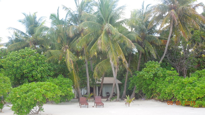 Мы вам покажем! 10 Мы вам покажем! 10