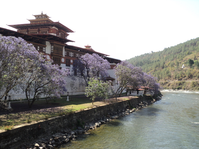 Мы вам покажем! 9 Мы вам покажем! 9