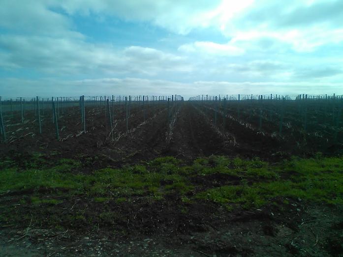 Депутаты Заксобрания РО оценили туристический потенциал винного завода «Эльбузд» 1 Депутаты Заксобрания РО оценили туристический потенциал винного завода «Эльбузд» 1