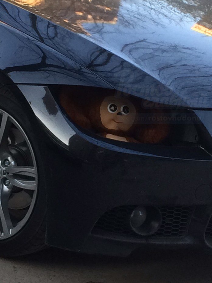 Что можно увидеть на ростовских дорогах ФОТО 6 Что можно увидеть на ростовских дорогах ФОТО 6