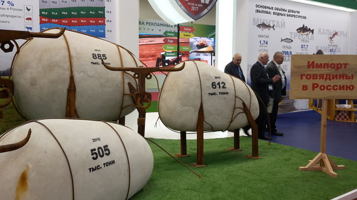 В Ростове начал работу Второй Форум продовольственной безопасности России (ФОТО) 18 В Ростове начал работу Второй Форум продовольственной безопасности России (ФОТО) 18