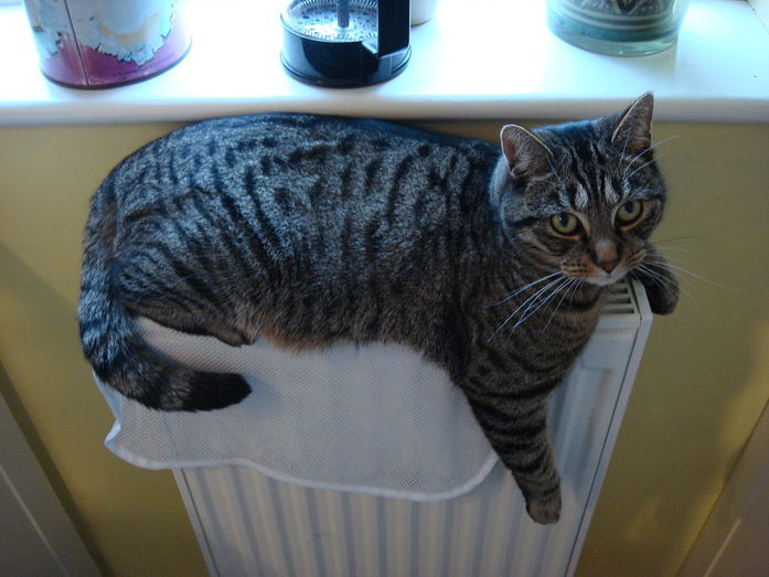 Темы недели DK.RU. Арест экс-депутата, снос на набережной и возвращение тепла 4 Темы недели DK.RU. Арест экс-депутата, снос на набережной и возвращение тепла 4