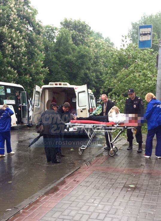 В Ростове на остановку упало дерево ФОТО 4 В Ростове на остановку упало дерево ФОТО 4