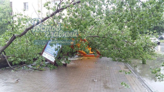 В Ростове на остановку упало дерево ФОТО 1 В Ростове на остановку упало дерево ФОТО 1