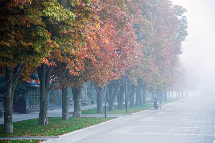 Итоги недели: Авиакомпания "Азимут" стала базовым перевозчиком "Платова" 1 Итоги недели: Авиакомпания "Азимут" стала базовым перевозчиком "Платова" 1