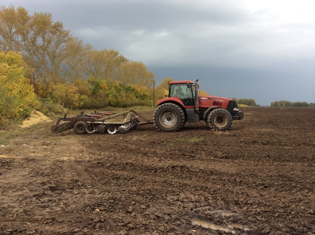 «Продовольственная корпорация Челябинской области»: картофель с родной земли 5 «Продовольственная корпорация Челябинской области»: картофель с родной земли 5