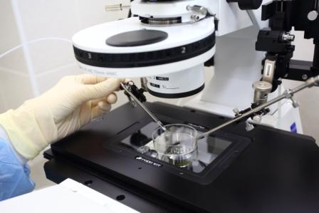 Мужчины все чаще получают наследников «из пробирки» 4 Мужчины все чаще получают наследников «из пробирки» 4