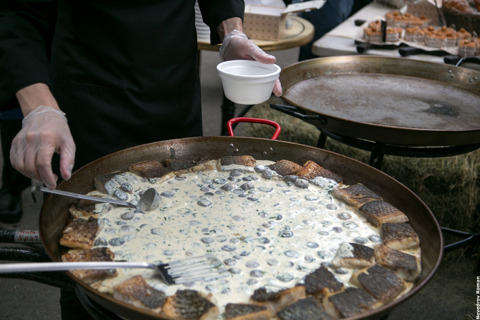 Ростов на прошедших выходных снова бегал и устанавливал рекорды 22 Ростов на прошедших выходных снова бегал и устанавливал рекорды 22