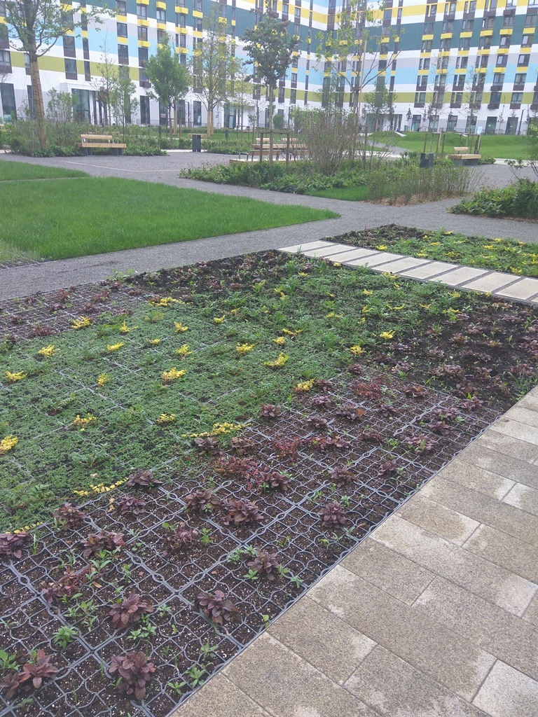 Чего ждать горожанам и девелоперам от федерального гиганта. ГК «ПИК» показала товар лицом 14 Чего ждать горожанам и девелоперам от федерального гиганта. ГК «ПИК» показала товар лицом 14