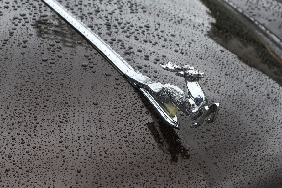 В Нижнем Новгороде прошел фестиваль неординарных автомобилей. ФОТО 18 В Нижнем Новгороде прошел фестиваль неординарных автомобилей. ФОТО 18