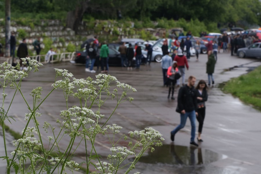 В Нижнем Новгороде прошел фестиваль неординарных автомобилей. ФОТО 21 В Нижнем Новгороде прошел фестиваль неординарных автомобилей. ФОТО 21