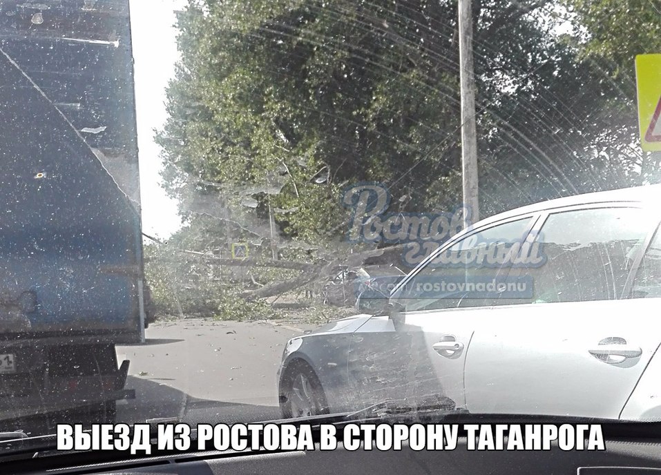 В Ростове ветер массово повалил деревья ФОТО 5 В Ростове ветер массово повалил деревья ФОТО 5