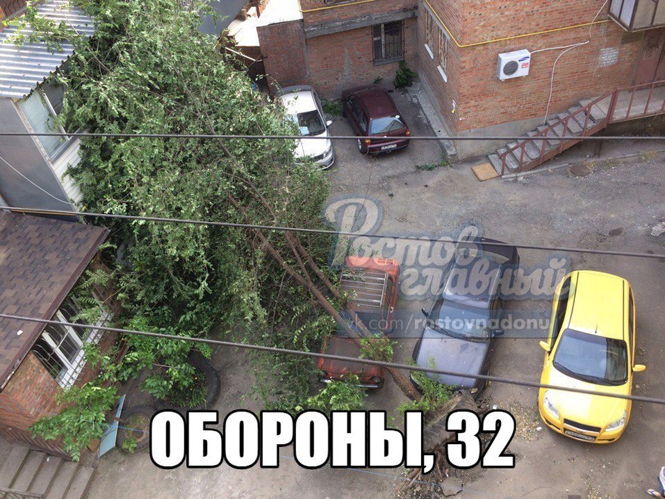 В Ростове ветер массово повалил деревья ФОТО 6 В Ростове ветер массово повалил деревья ФОТО 6