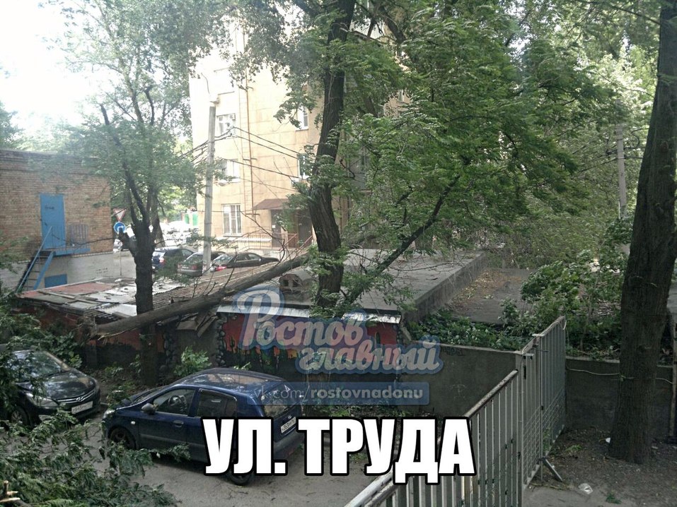 В Ростове ветер массово повалил деревья ФОТО 9 В Ростове ветер массово повалил деревья ФОТО 9