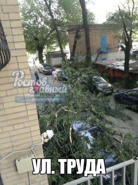 В Ростове ветер массово повалил деревья ФОТО 10 В Ростове ветер массово повалил деревья ФОТО 10