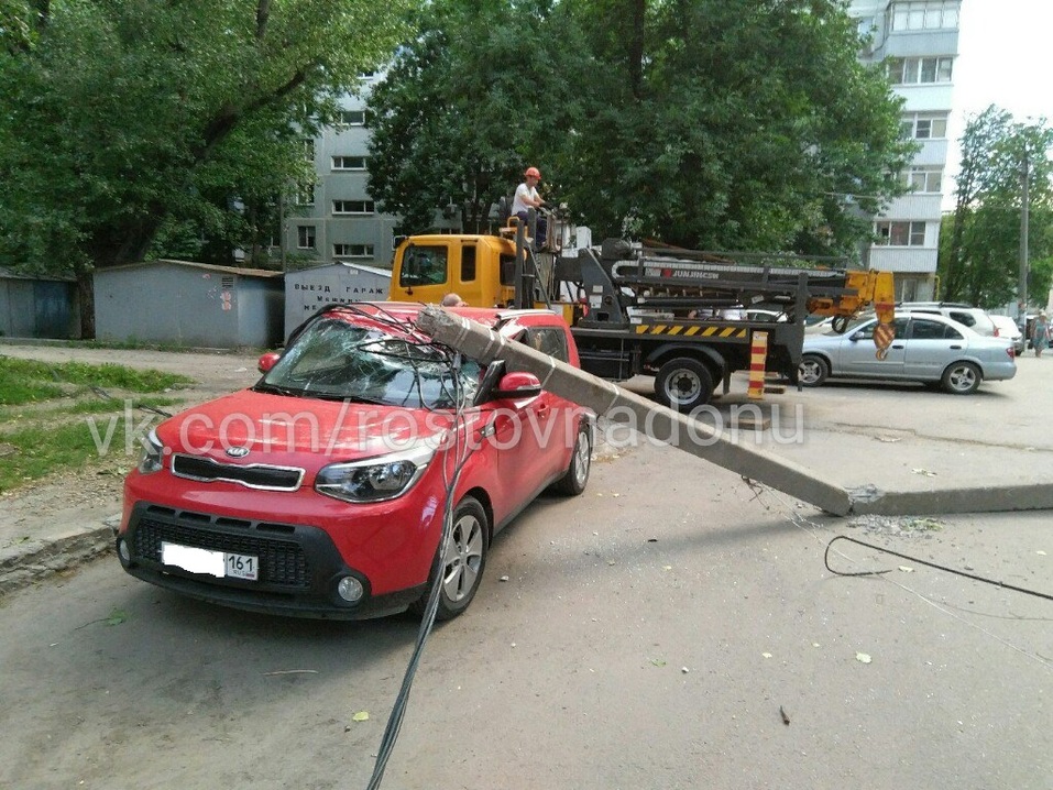 В Ростове ветер массово повалил деревья ФОТО 14 В Ростове ветер массово повалил деревья ФОТО 14