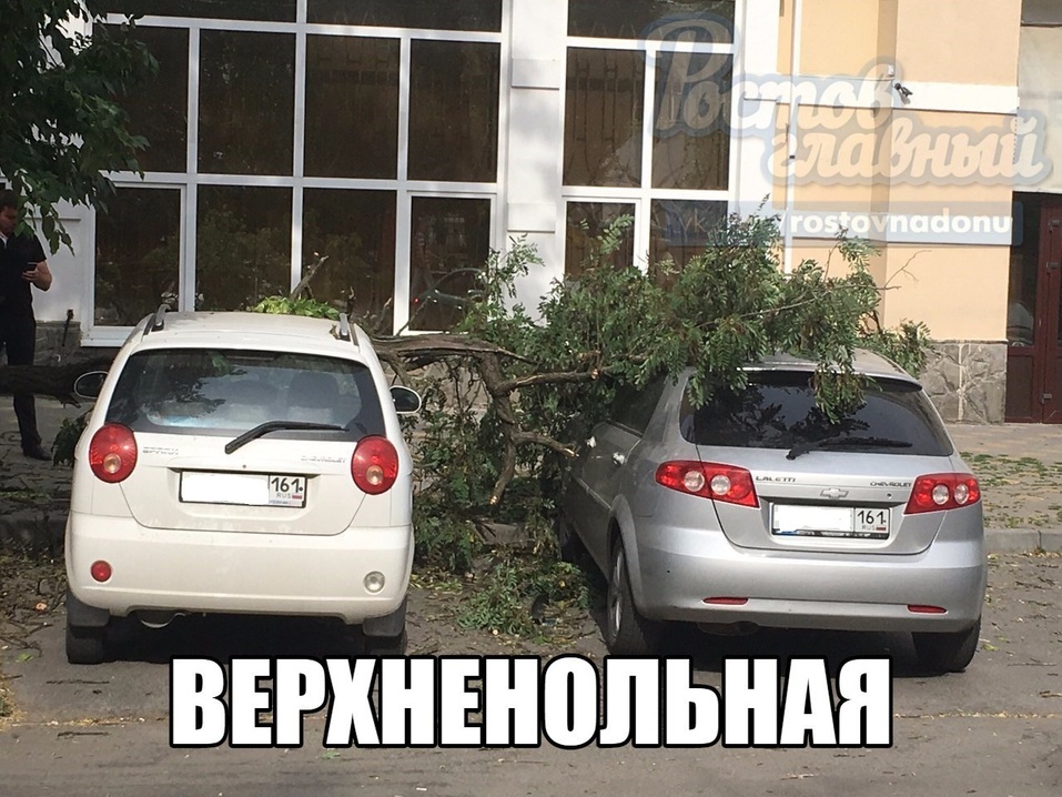 В Ростове ветер массово повалил деревья ФОТО 4 В Ростове ветер массово повалил деревья ФОТО 4