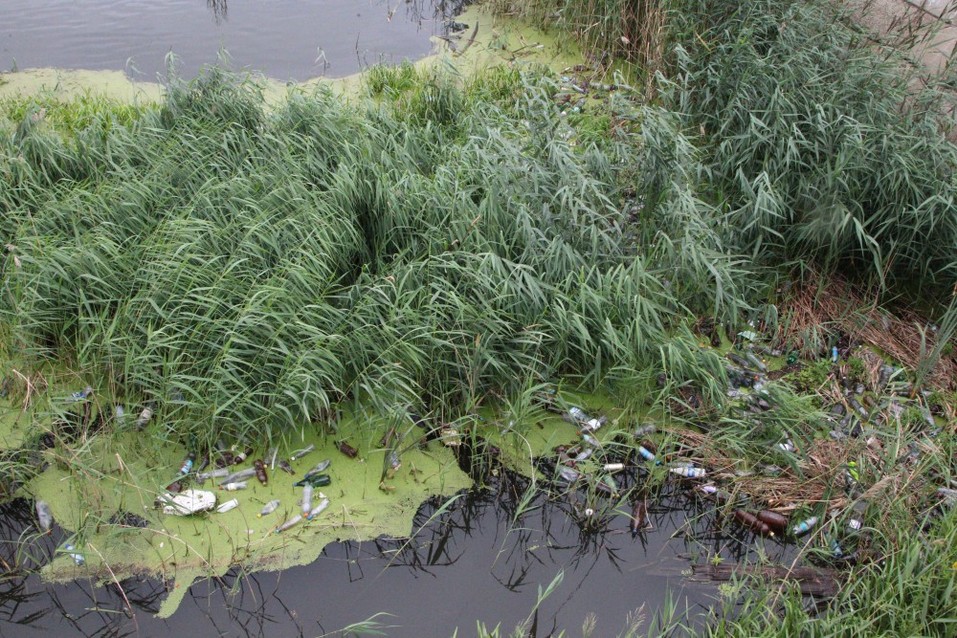 Камыши и мусор в реке Миасс разгневали Евгения Тефтелева. ФОТО 3 Камыши и мусор в реке Миасс разгневали Евгения Тефтелева. ФОТО 3