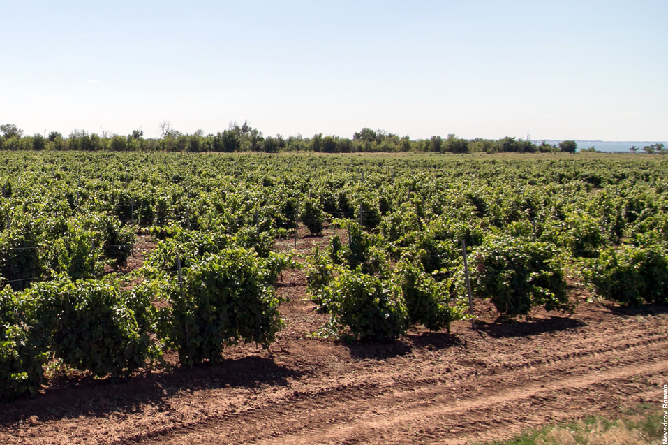 Высокоскоростное турне по Ростовской области 10 Высокоскоростное турне по Ростовской области 10