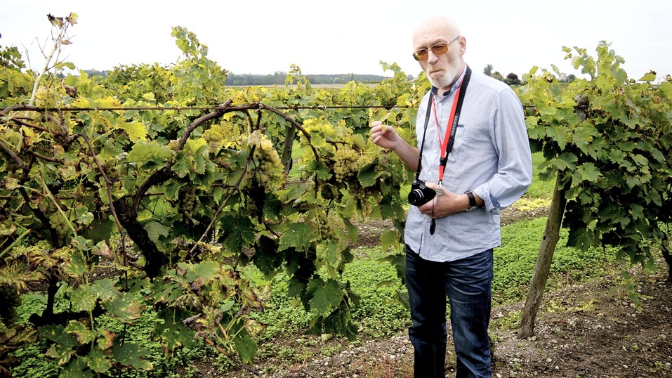 Попробовать страну на градус. Игорь Шеин о винных путешествиях 1 Попробовать страну на градус. Игорь Шеин о винных путешествиях 1