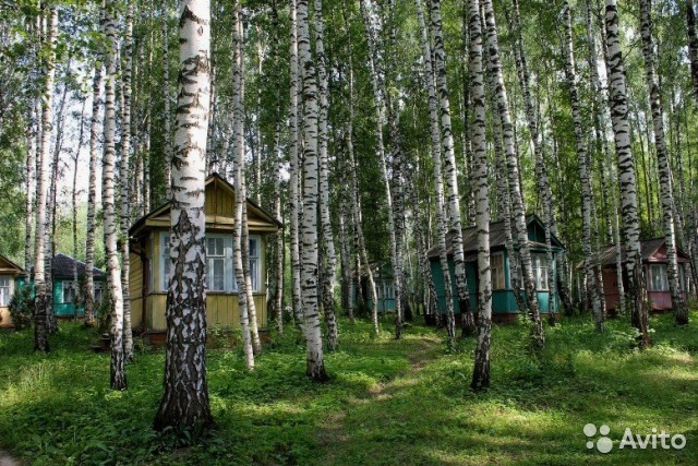 В Нижегородской области продается база отдыха за 55 млн руб. 3 В Нижегородской области продается база отдыха за 55 млн руб. 3