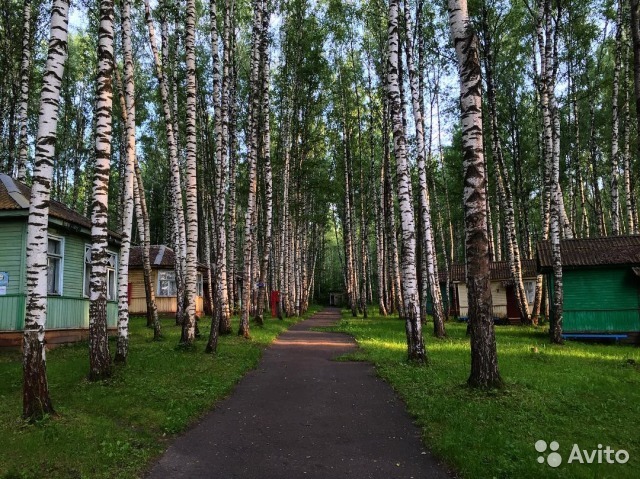 В Нижегородской области продается база отдыха за 55 млн руб. 4 В Нижегородской области продается база отдыха за 55 млн руб. 4