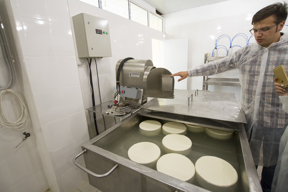 Уже можно не возить «санкционку» в чемоданах — Максим Соболев о частных сыроварнях 3 Уже можно не возить «санкционку» в чемоданах — Максим Соболев о частных сыроварнях 3