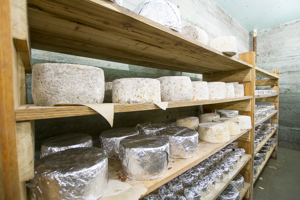 Уже можно не возить «санкционку» в чемоданах — Максим Соболев о частных сыроварнях 4 Уже можно не возить «санкционку» в чемоданах — Максим Соболев о частных сыроварнях 4