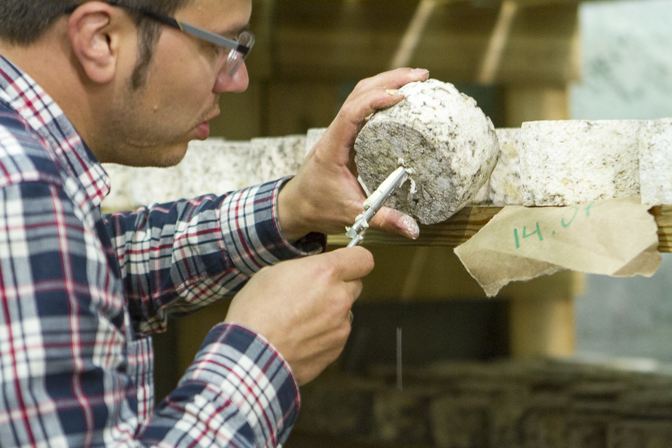 Уже можно не возить «санкционку» в чемоданах — Максим Соболев о частных сыроварнях 6 Уже можно не возить «санкционку» в чемоданах — Максим Соболев о частных сыроварнях 6