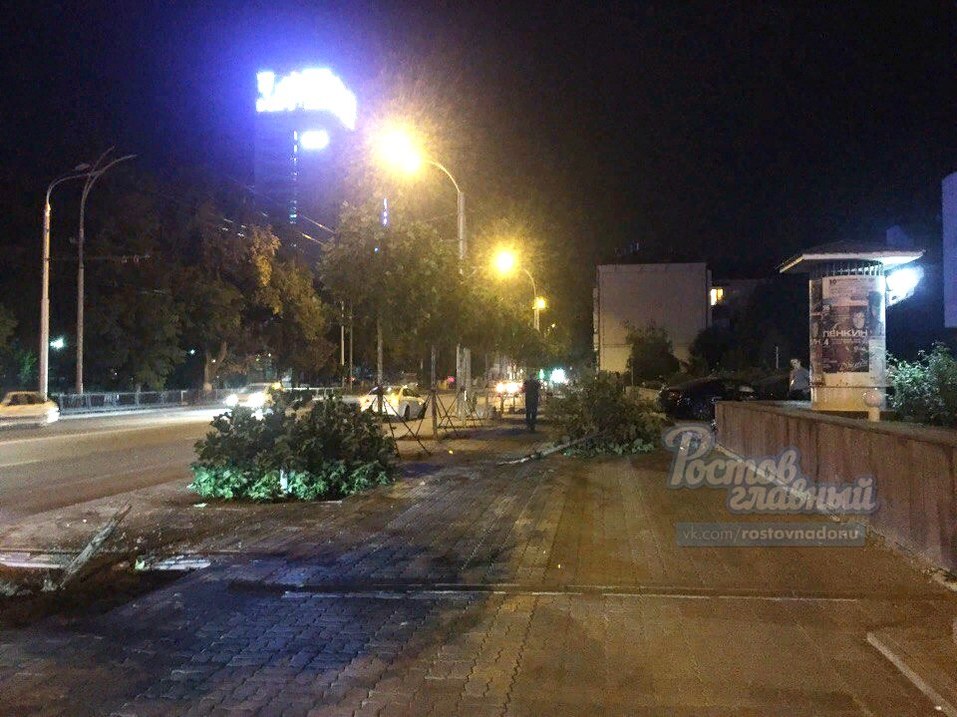 В Ростове иномарка снесла платаны за 100 тысяч рублей 2 В Ростове иномарка снесла платаны за 100 тысяч рублей 2