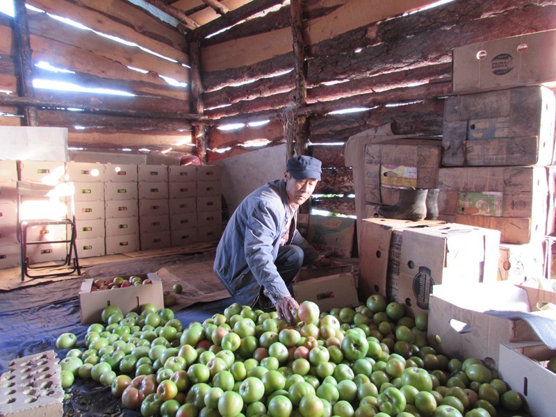 В Челябинске бизнесмен выплатит 5 млн руб. за труд нелегалов 2 В Челябинске бизнесмен выплатит 5 млн руб. за труд нелегалов 2