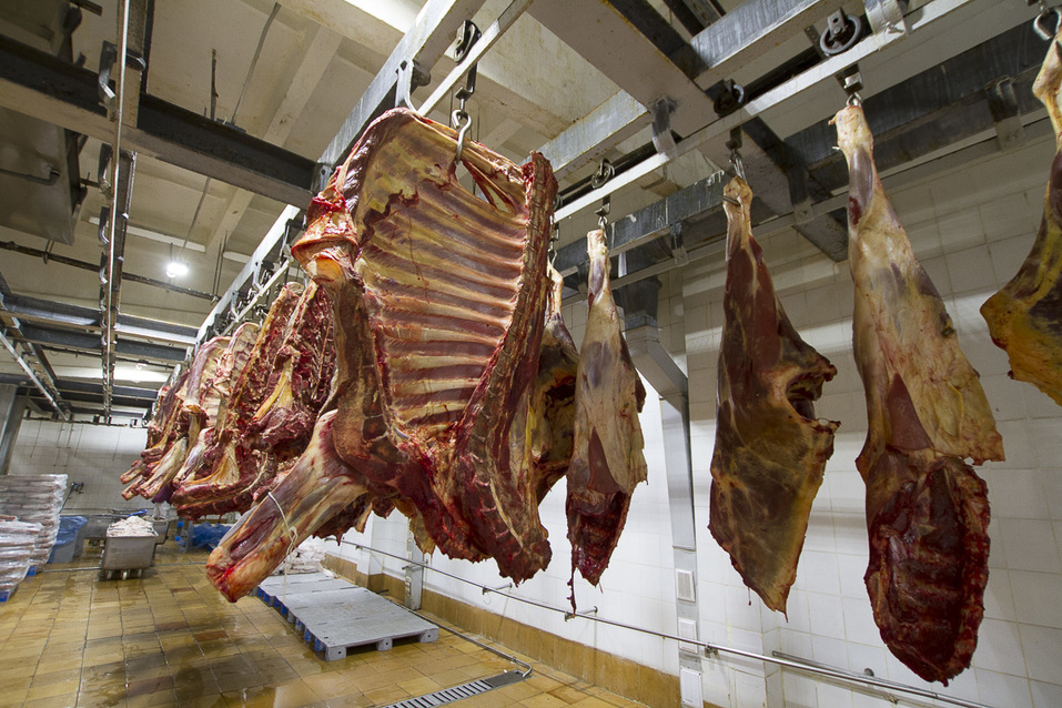 Изнанка комбината «Хороший вкус». Из чего делают сосиски и колбасы, и едят ли их работники 4 Изнанка комбината «Хороший вкус». Из чего делают сосиски и колбасы, и едят ли их работники 4