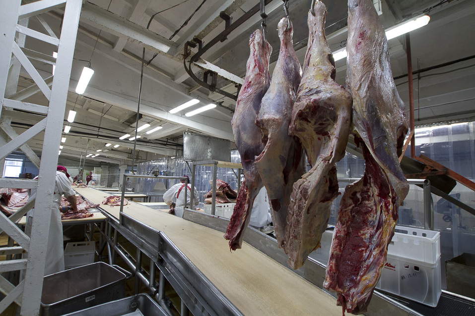 Изнанка комбината «Хороший вкус». Из чего делают сосиски и колбасы, и едят ли их работники 5 Изнанка комбината «Хороший вкус». Из чего делают сосиски и колбасы, и едят ли их работники 5