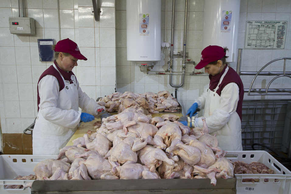 Изнанка комбината «Хороший вкус». Из чего делают сосиски и колбасы, и едят ли их работники 10 Изнанка комбината «Хороший вкус». Из чего делают сосиски и колбасы, и едят ли их работники 10