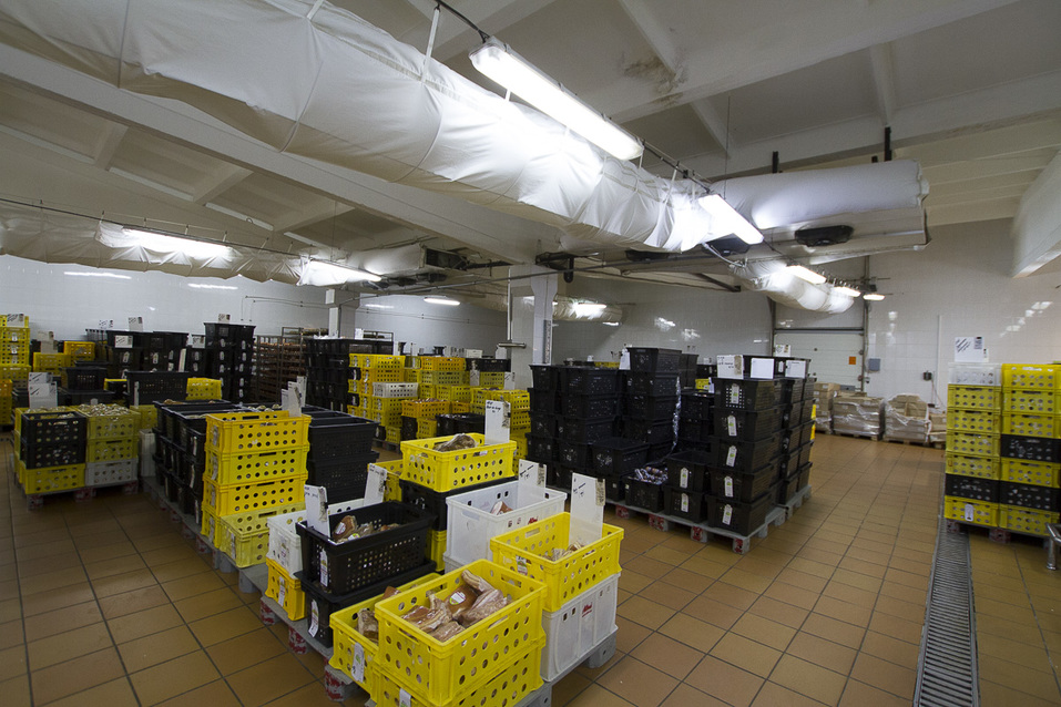 Изнанка комбината «Хороший вкус». Из чего делают сосиски и колбасы, и едят ли их работники 43 Изнанка комбината «Хороший вкус». Из чего делают сосиски и колбасы, и едят ли их работники 43