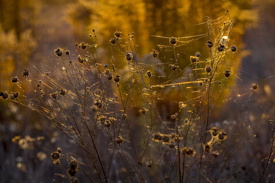 Темы недели DK.RU. Дело Белова, арест главного перевозчика и прогнозы на «бабье лето» 6 Темы недели DK.RU. Дело Белова, арест главного перевозчика и прогнозы на «бабье лето» 6