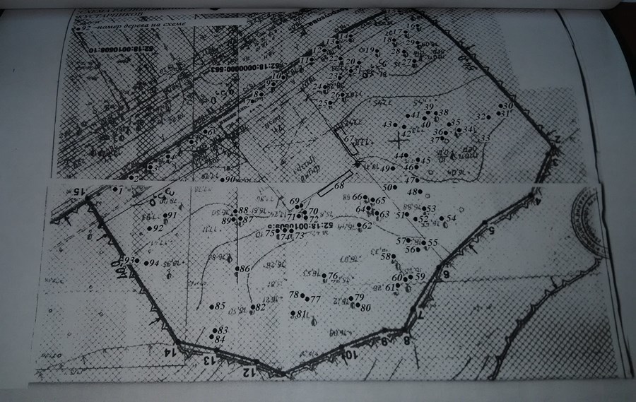 Нижегородцы выступили против строительства бассейна с кафе в Светлоярском парке 2 Нижегородцы выступили против строительства бассейна с кафе в Светлоярском парке 2
