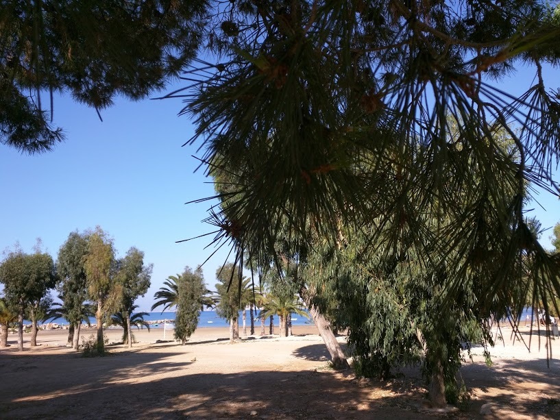 «Все эти «пора валить» не сработают», - эмигрантка из России о жизни в Испании 5 «Все эти «пора валить» не сработают», - эмигрантка из России о жизни в Испании 5