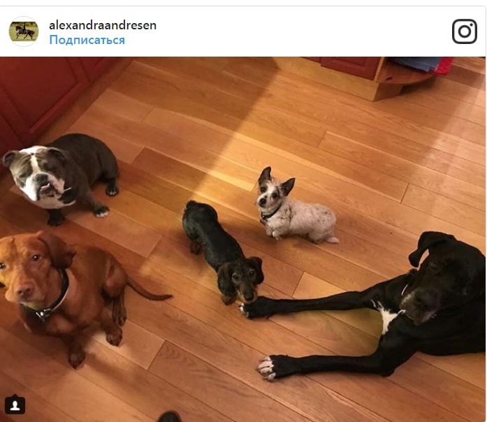 Сплошной Louis Vuitton. Как живут самые молодые миллиардеры мира: ФОТО 4 Сплошной Louis Vuitton. Как живут самые молодые миллиардеры мира: ФОТО 4