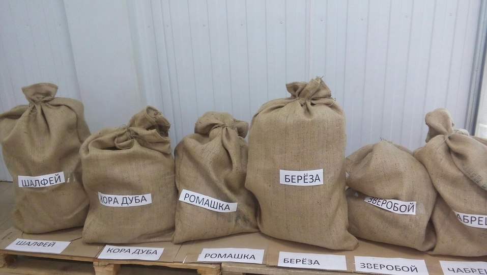 Как заработать на порошках из травы. ОПЫТ Анастасии Симоновой 2 Как заработать на порошках из травы. ОПЫТ Анастасии Симоновой 2