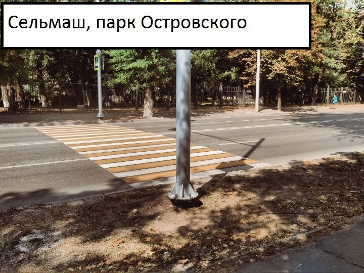 Странная "зебра" вызвала недоумение у жителей Ростова-на-Дону 1 Странная "зебра" вызвала недоумение у жителей Ростова-на-Дону 1