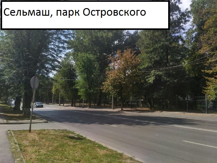 Странная "зебра" вызвала недоумение у жителей Ростова-на-Дону 2 Странная "зебра" вызвала недоумение у жителей Ростова-на-Дону 2