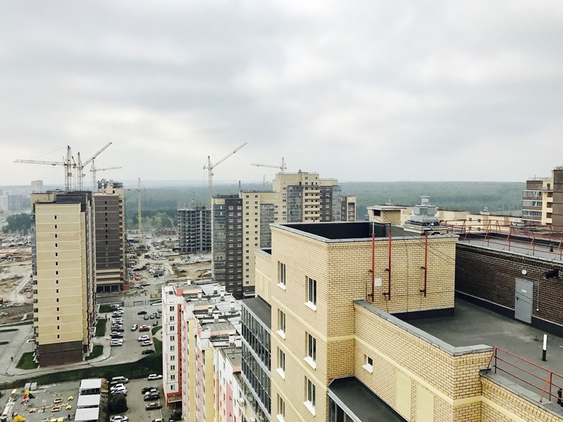 Большой и добрый: в ЖК «Ньютон» поселился удивительный сосед 9 Большой и добрый: в ЖК «Ньютон» поселился удивительный сосед 9