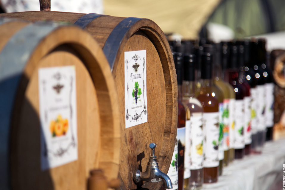 В Ростовской области прошел юбилейный фестиваль "Донская лоза" ФОТОРЕПОРТАЖ 3 В Ростовской области прошел юбилейный фестиваль "Донская лоза" ФОТОРЕПОРТАЖ 3