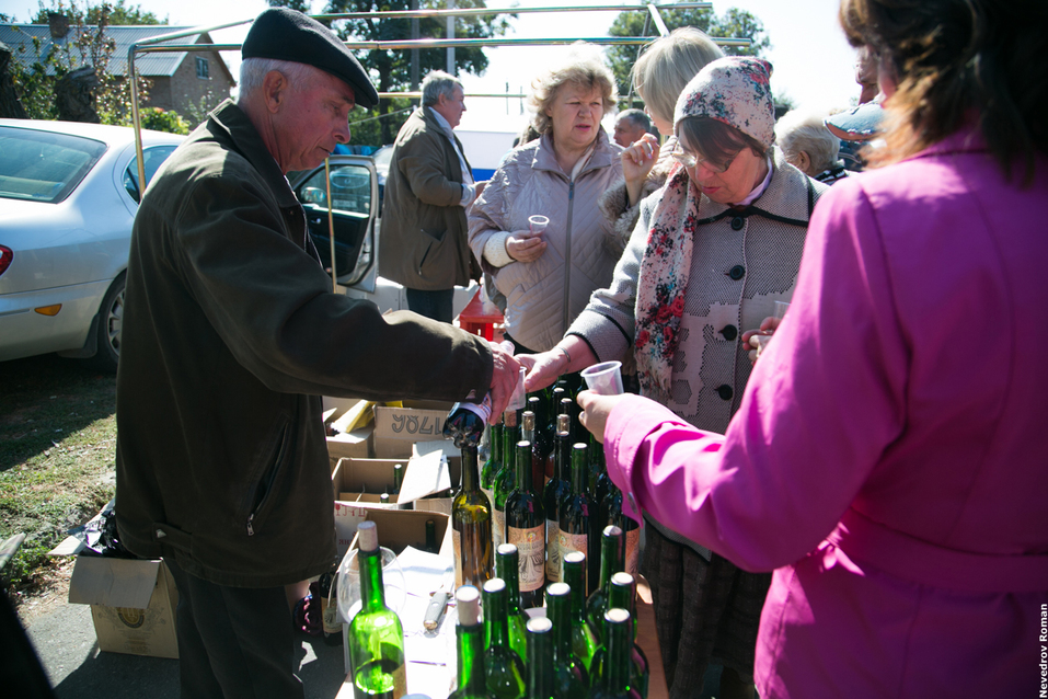 В Ростовской области прошел юбилейный фестиваль "Донская лоза" ФОТОРЕПОРТАЖ 8 В Ростовской области прошел юбилейный фестиваль "Донская лоза" ФОТОРЕПОРТАЖ 8